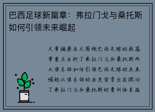 巴西足球新篇章：弗拉门戈与桑托斯如何引领未来崛起