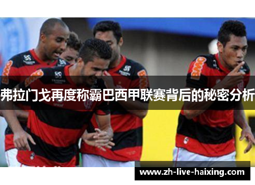 弗拉门戈再度称霸巴西甲联赛背后的秘密分析