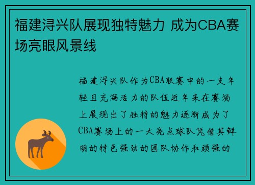 福建浔兴队展现独特魅力 成为CBA赛场亮眼风景线